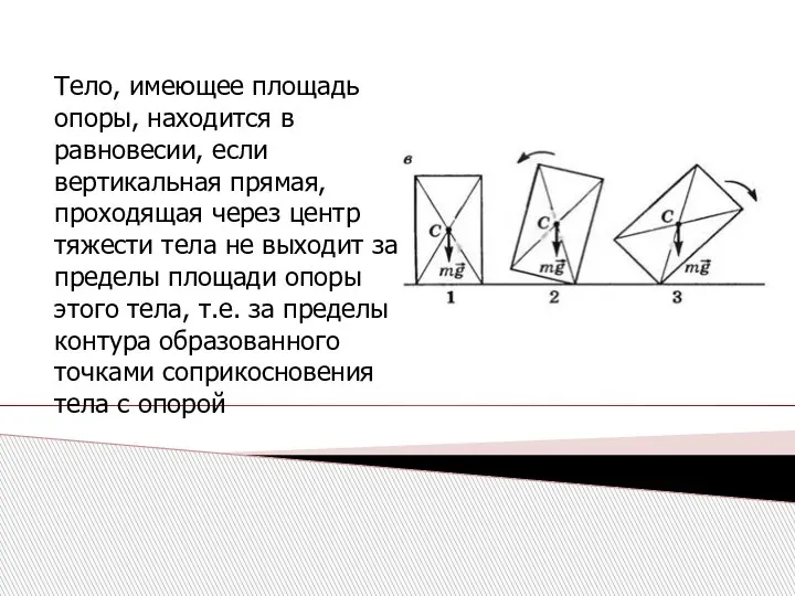 Тело, имеющее площадь опоры, находится в равновесии, если вертикальная прямая, проходящая через