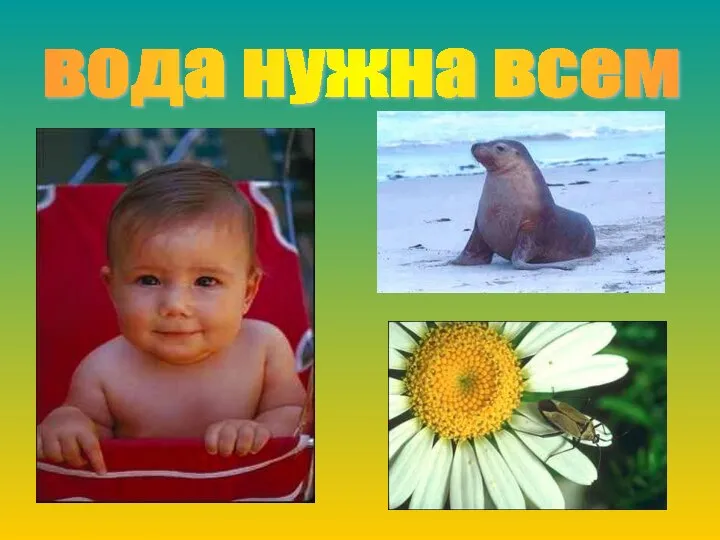 вода нужна всем