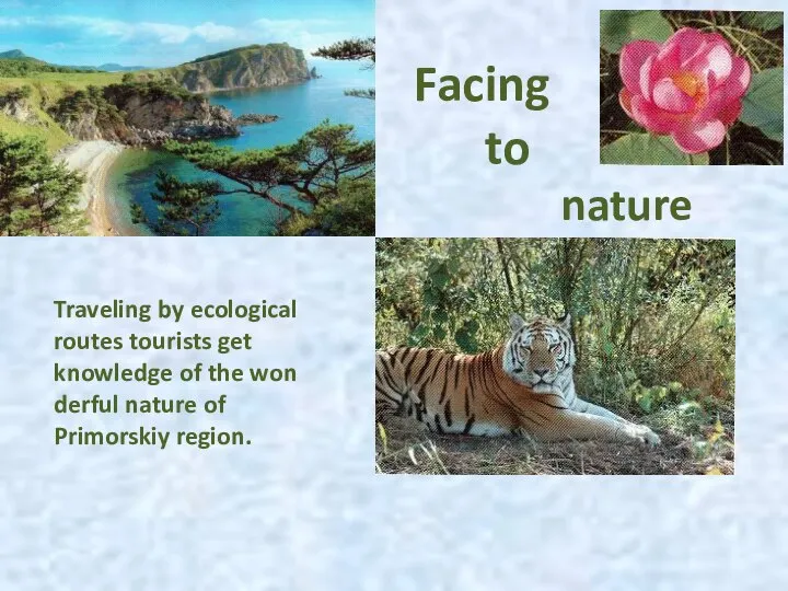 Facing to nature Traveling by ecological routes tourists get knowledge of the