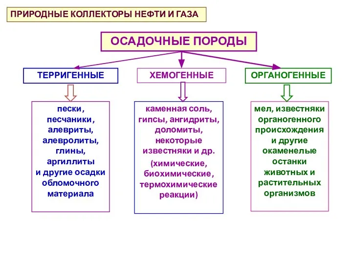 ПРИРОДНЫЕ КОЛЛЕКТОРЫ НЕФТИ И ГАЗА ОСАДОЧНЫЕ ПОРОДЫ ТЕРРИГЕННЫЕ ХЕМОГЕННЫЕ ОРГАНОГЕННЫЕ пески, песчаники,