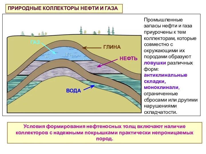 ПРИРОДНЫЕ КОЛЛЕКТОРЫ НЕФТИ И ГАЗА Промышленные запасы нефти и газа приурочены к