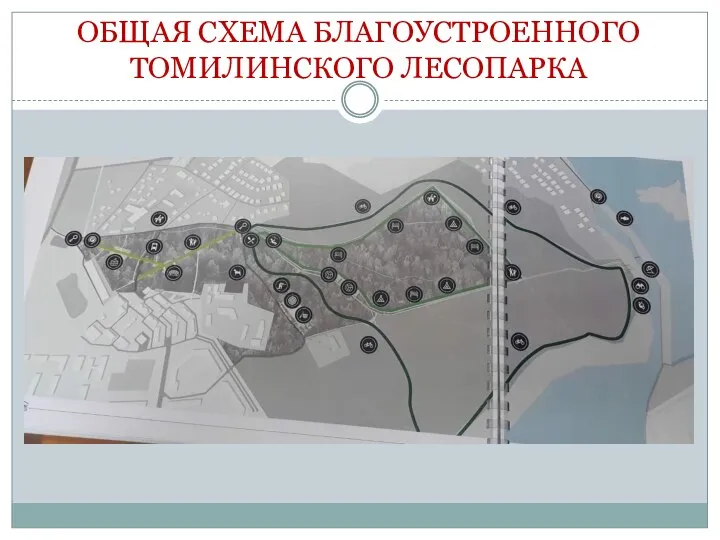 ОБЩАЯ СХЕМА БЛАГОУСТРОЕННОГО ТОМИЛИНСКОГО ЛЕСОПАРКА