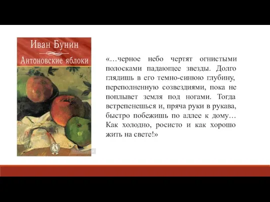 «…черное небо чертят огнистыми полосками падающее звезды. Долго глядишь в его темно-синюю