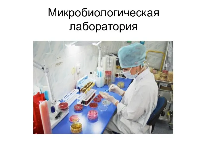 Микробиологическая лаборатория