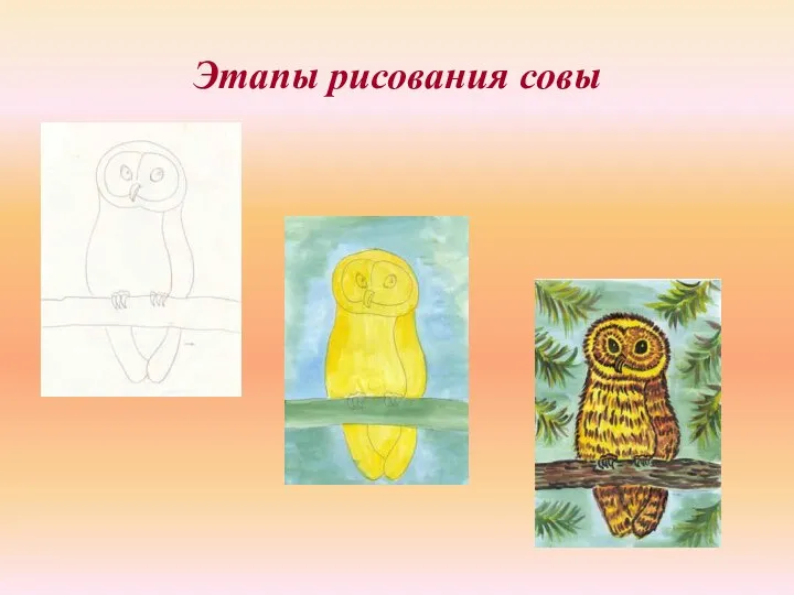 Этапы рисования совы