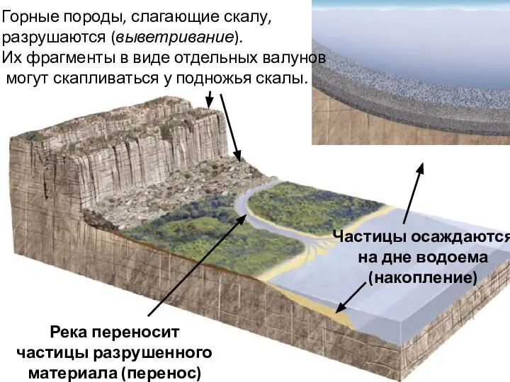 Горные породы, слагающие скалу, разрушаются (выветривание). Их фрагменты в виде отдельных валунов