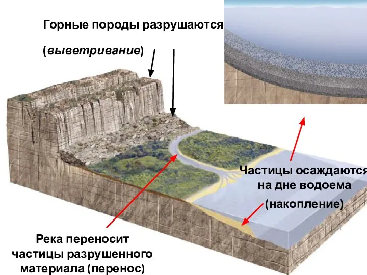 Горные породы разрушаются (выветривание) Река переносит частицы разрушенного материала (перенос) Частицы осаждаются на дне водоема (накопление)