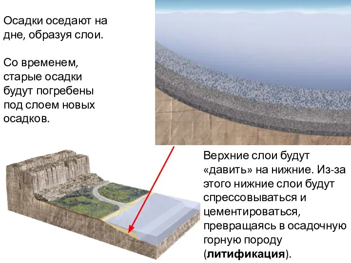 Осадки оседают на дне, образуя слои. Со временем, старые осадки будут погребены