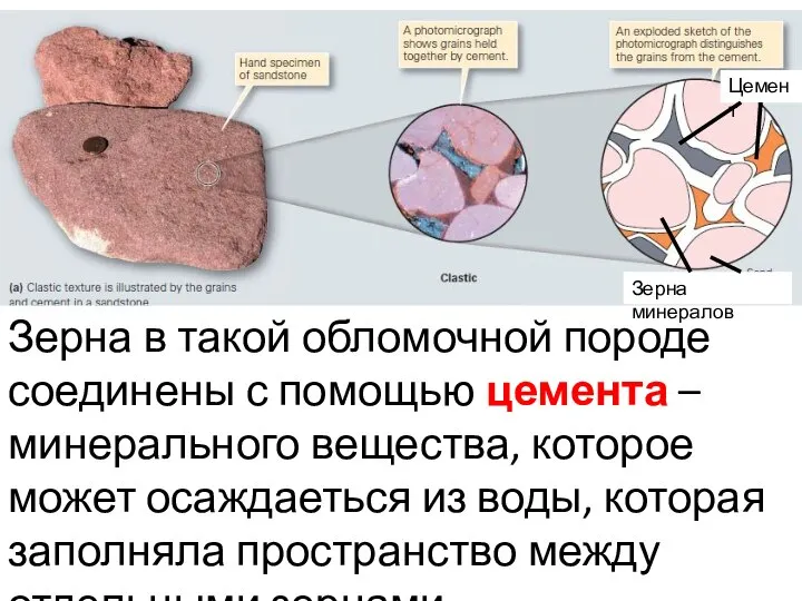 Зерна в такой обломочной породе соединены с помощью цемента – минерального вещества,