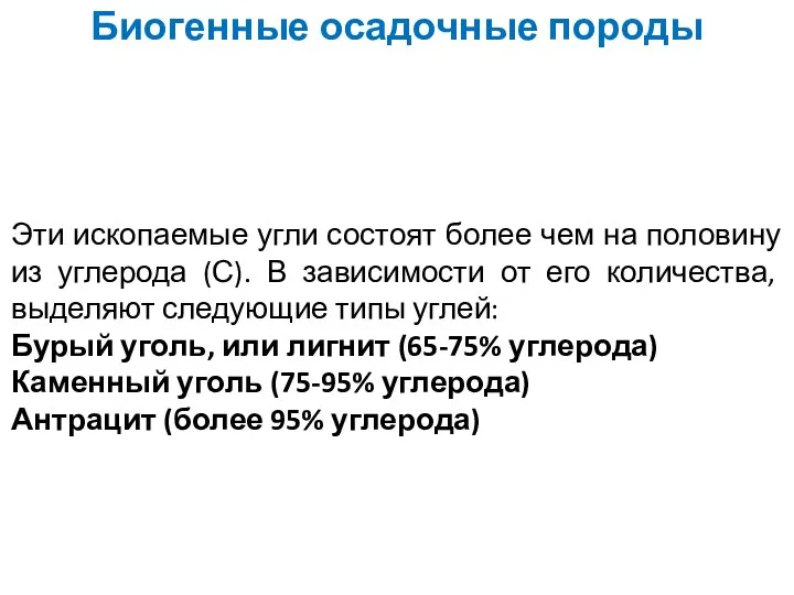 Биогенные осадочные породы Эти ископаемые угли состоят более чем на половину из