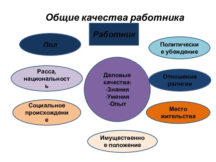 Общие качества работника Работник Пол Расса, национальность Социальное происхождение Деловые качества: -Знания