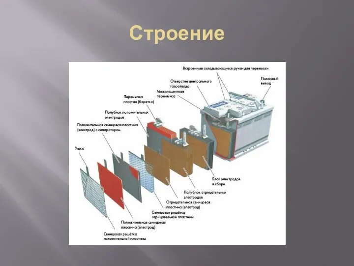 Строение