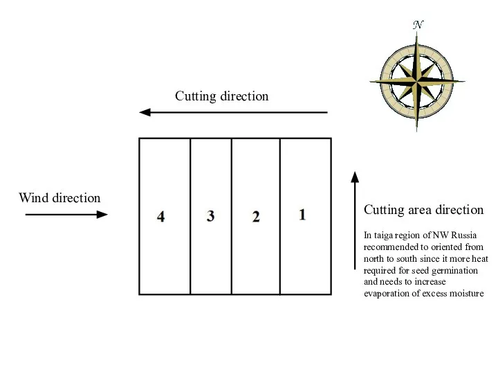Cutting direction Wind direction Cutting area direction In taiga region of NW