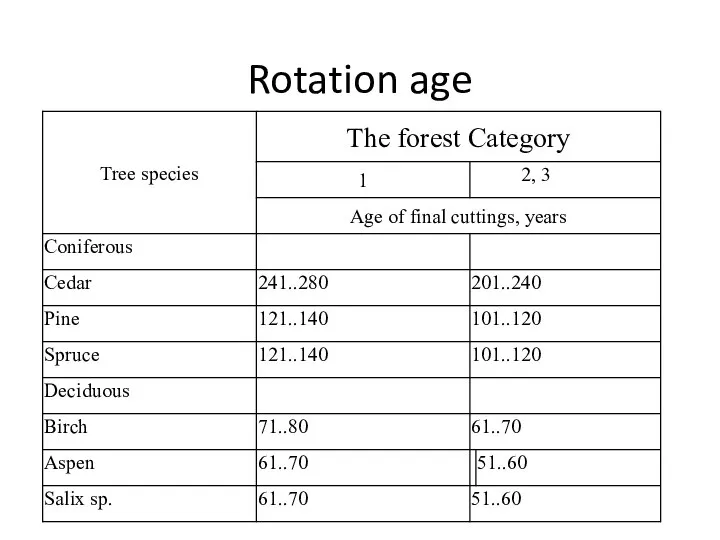 Rotation age