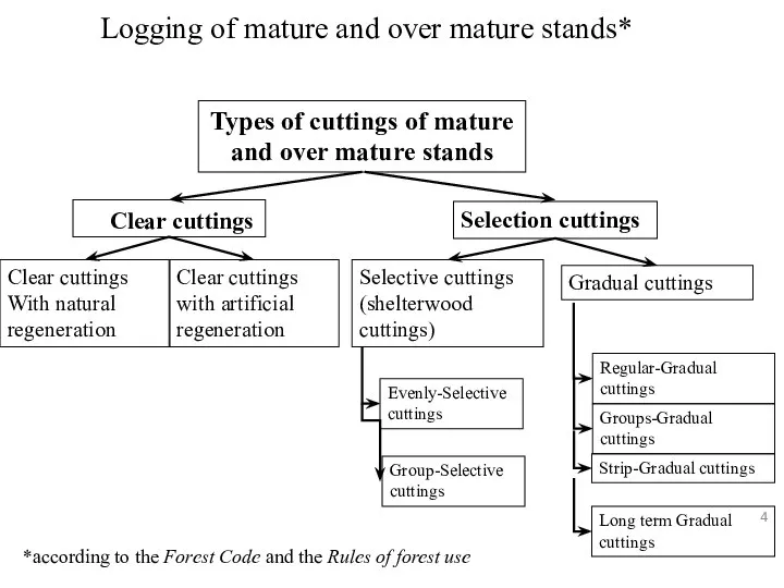 Logging of mature and over mature stands* Types of cuttings of mature