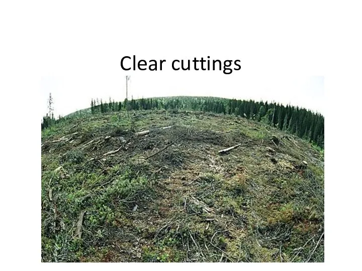 Clear cuttings