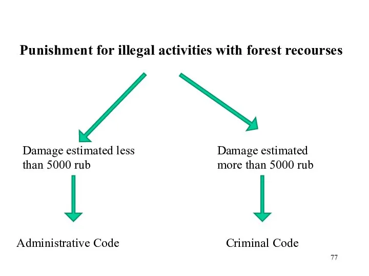 Punishment for illegal activities with forest recourses Damage estimated less than 5000