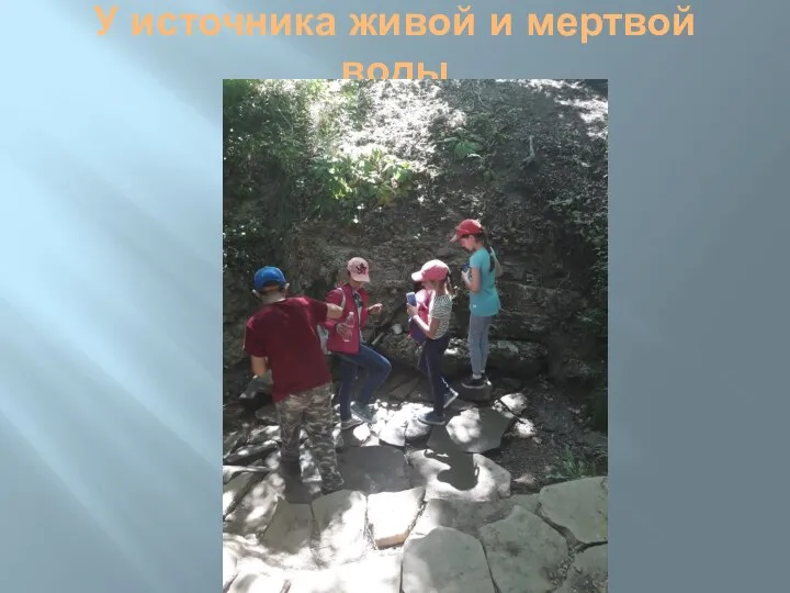 У источника живой и мертвой воды