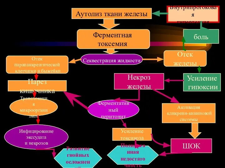 Аутолиз ткани железы Ферментная токсемия Секвестрация жидкости Отек железы Отек парапанкреатической клетчатки