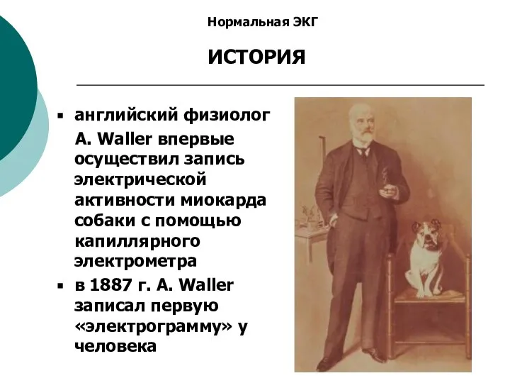 Нормальная ЭКГ ИСТОРИЯ английский физиолог A. Waller впервые осуществил запись электрической активности