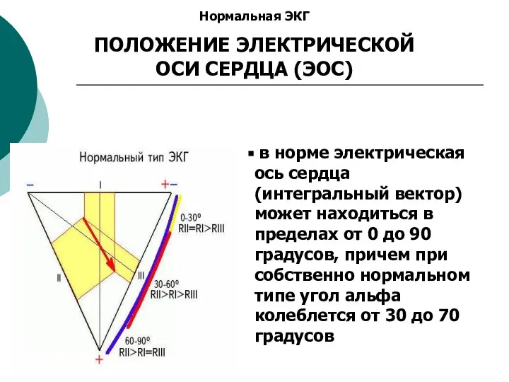 Нормальная ЭКГ ПОЛОЖЕНИЕ ЭЛЕКТРИЧЕСКОЙ ОСИ СЕРДЦА (ЭОС) в норме электрическая ось сердца