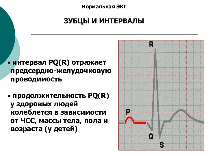 Нормальная ЭКГ ЗУБЦЫ И ИНТЕРВАЛЫ интервал PQ(R) отражает предсердно-желудочковую проводимость продолжительность PQ(R)
