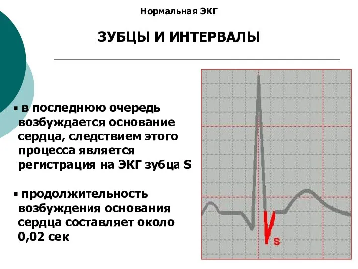 Нормальная ЭКГ ЗУБЦЫ И ИНТЕРВАЛЫ в последнюю очередь возбуждается основание сердца, следствием