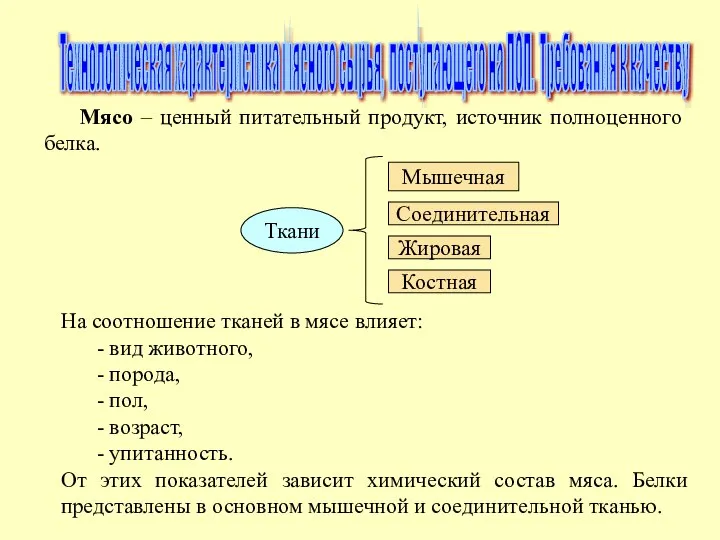 Технологическая характеристика мясного сырья, поступающего на ПОП. Требования к качеству Мясо –