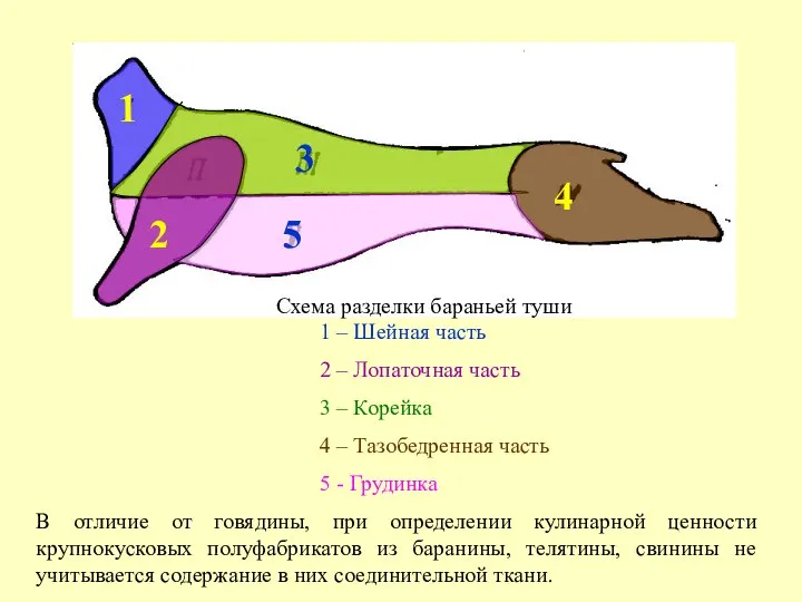 Схема разделки бараньей туши 5 4 3 1 2 1 – Шейная