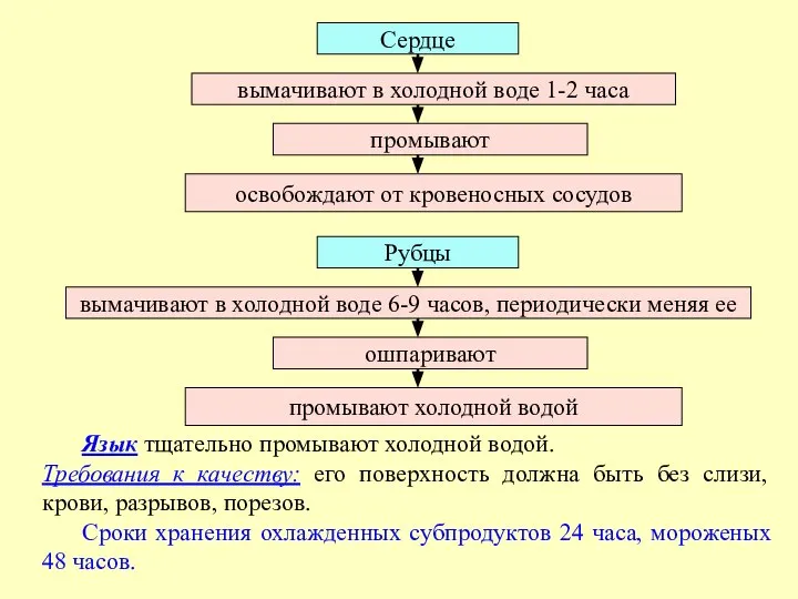 Язык тщательно промывают холодной водой. Требования к качеству: его поверхность должна быть