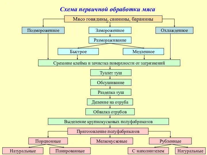 Схема первичной обработки мяса Мясо говядины, свинины, баранины Подмороженное Замороженное Охлажденное Размораживание