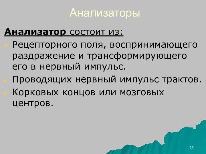 Анализаторы Анализатор состоит из: Рецепторного поля, воспринимающего раздражение и трансформирующего его в