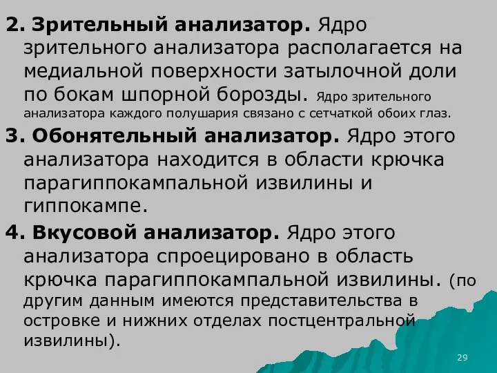 2. Зрительный анализатор. Ядро зрительного анализатора располагается на медиальной поверхности затылочной доли