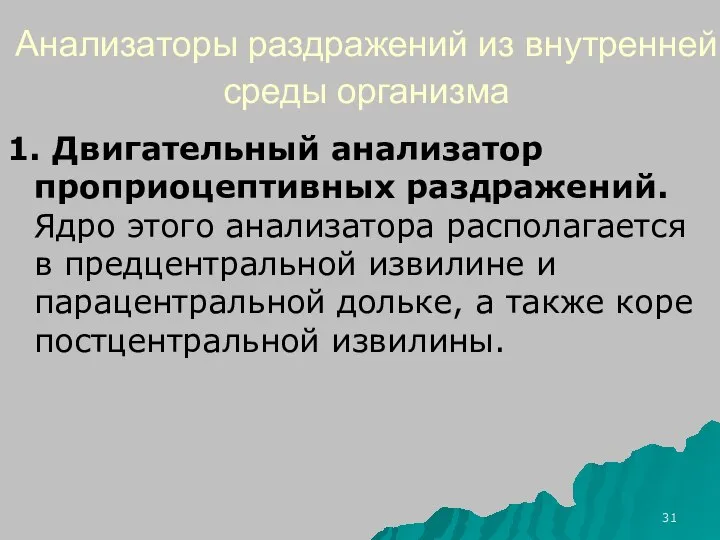 Анализаторы раздражений из внутренней среды организма 1. Двигательный анализатор проприоцептивных раздражений. Ядро