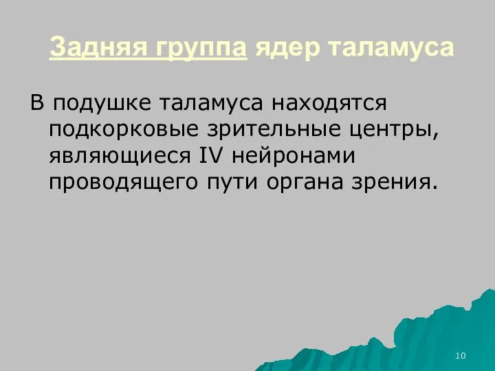 Задняя группа ядер таламуса В подушке таламуса находятся подкорковые зрительные центры, являющиеся