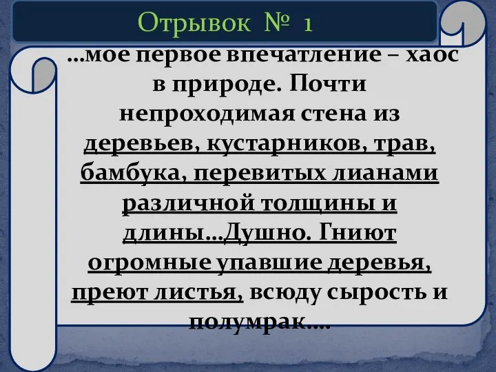 …мое первое впечатление – хаос в природе. Почти непроходимая стена из деревьев,