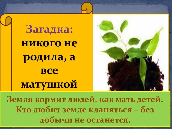 Загадка: никого не родила, а все матушкой зовут Земля кормит людей, как