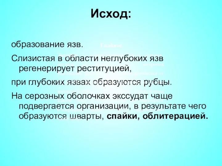 Исход: образование язв. Слизистая в области неглубоких язв регенерирует реституцией, при глубоких