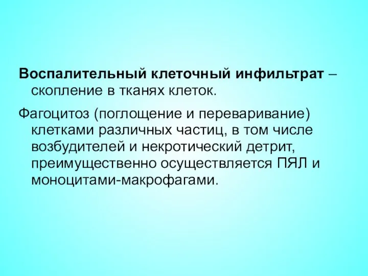 Воспалительный клеточный инфильтрат – скопление в тканях клеток. Фагоцитоз (поглощение и переваривание)