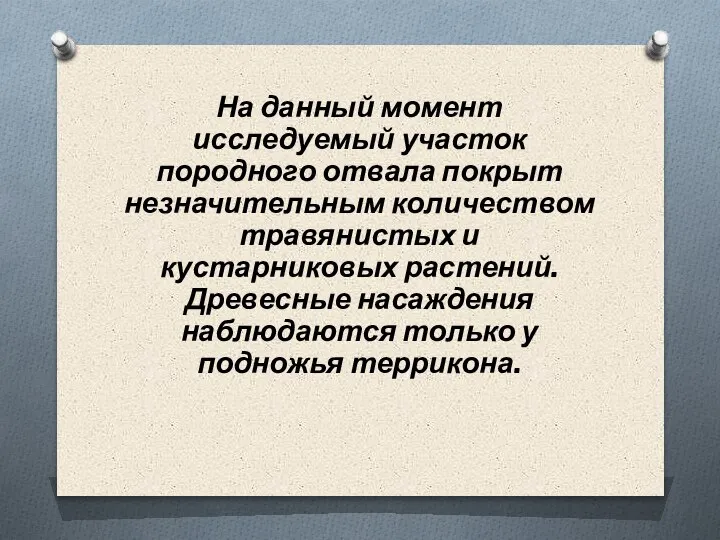 На данный момент исследуемый участок породного отвала покрыт незначительным количеством травянистых и