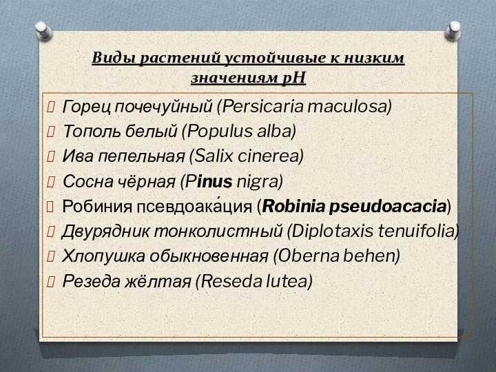 Виды растений устойчивые к низким значениям рН Горец почечуйный (Persicaria maculosa) Тополь