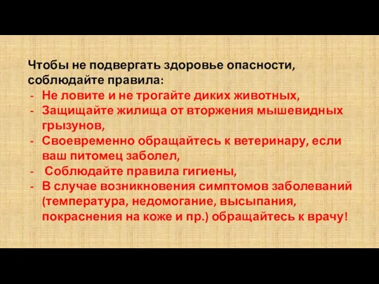 Чтобы не подвергать здоровье опасности, соблюдайте правила: Не ловите и не трогайте