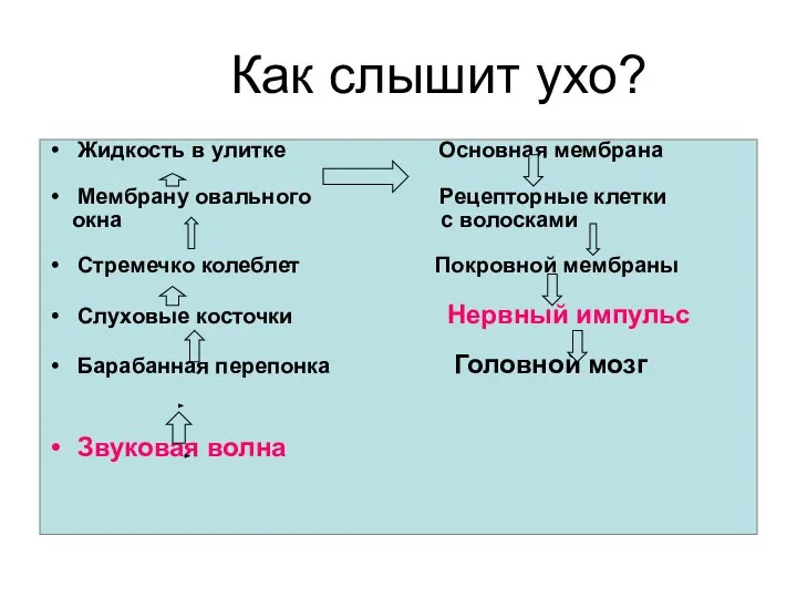 Как слышит ухо? Жидкость в улитке Основная мембрана Мембрану овального Рецепторные клетки