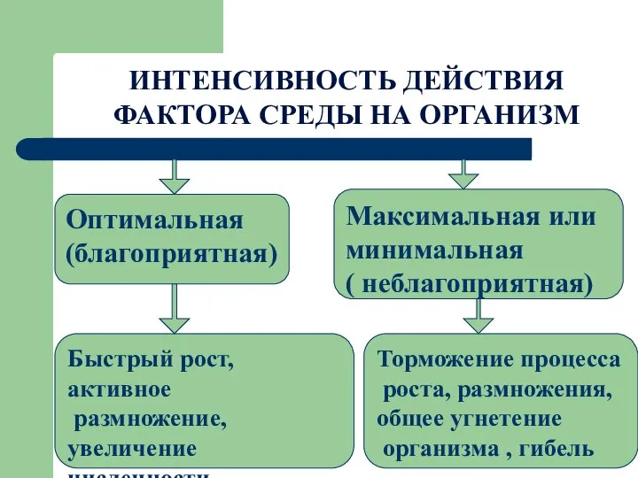 ИНТЕНСИВНОСТЬ ДЕЙСТВИЯ ФАКТОРА СРЕДЫ НА ОРГАНИЗМ Оптимальная (благоприятная) Максимальная или минимальная (