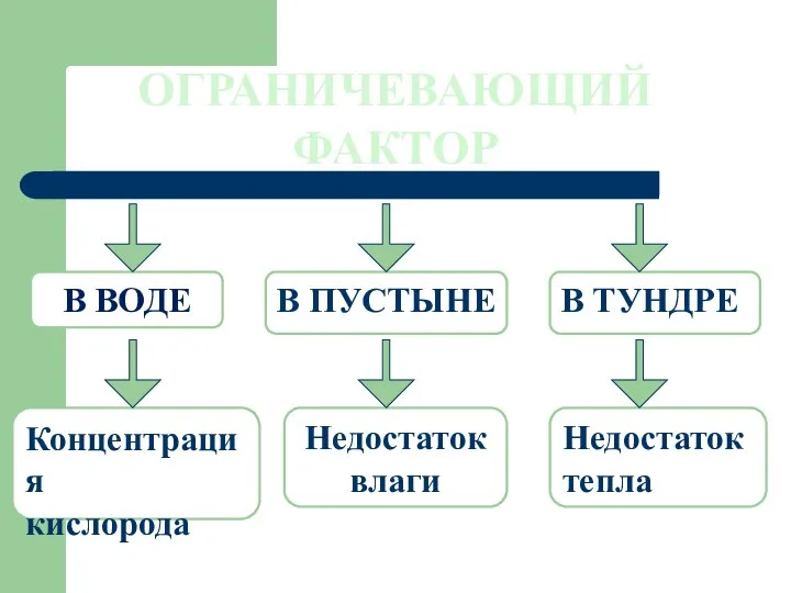 ОГРАНИЧЕВАЮЩИЙ ФАКТОР В ВОДЕ В ТУНДРЕ Концентрация кислорода Недостаток тепла Недостаток влаги В ПУСТЫНЕ