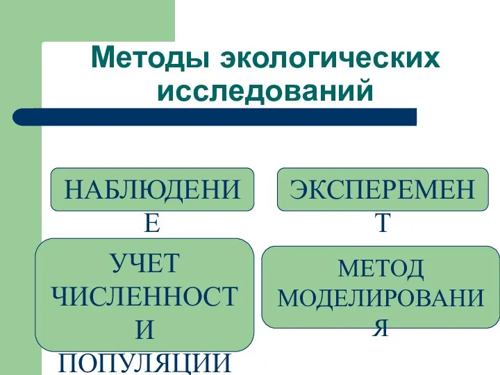 Методы экологических исследований НАБЛЮДЕНИЕ УЧЕТ ЧИСЛЕННОСТИ ПОПУЛЯЦИИ МЕТОД МОДЕЛИРОВАНИЯ ЭКСПЕРЕМЕНТ