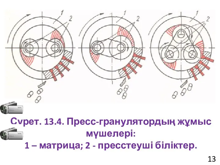 Сурет. 13.4. Пресс-гранулятордың жұмыс мүшелері: 1 – матрица; 2 - пресстеуші біліктер. 13