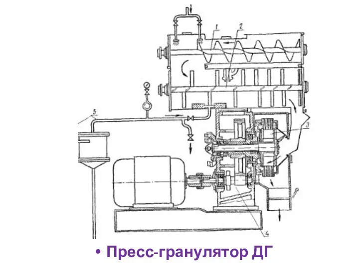 Пресс-гранулятор ДГ