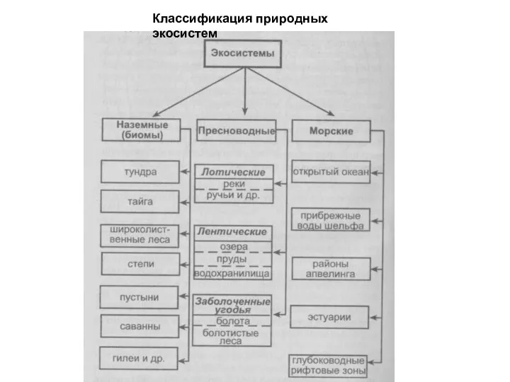 Классификация природных экосистем