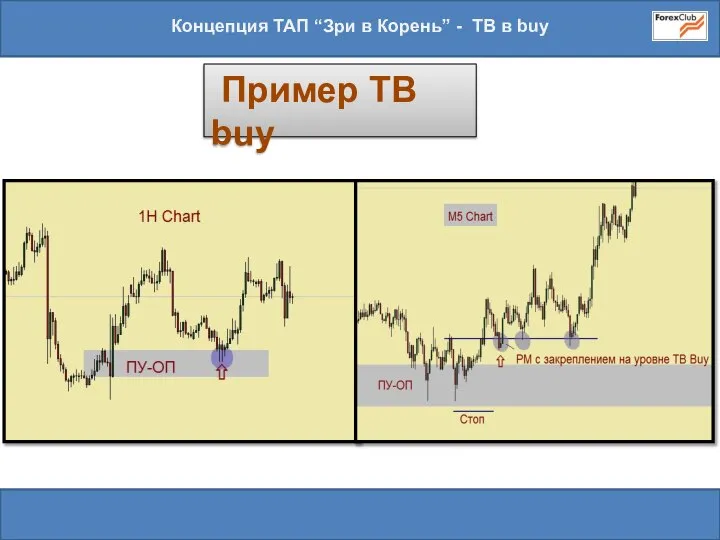 Концепция ТАП “Зри в Корень” - ТВ в buy Пример TB buy